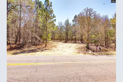 1397 Robinson Town Road, Cassatt, SC 29032 - Photo 16