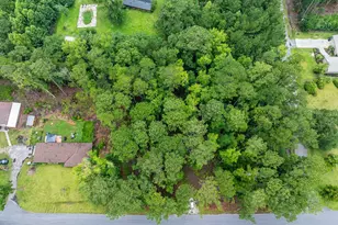 230 Appleby Ave, Estill, SC 29918 - Photo 1