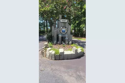 1441 Old Chapin Road 123, Lexington, SC 29072 - Photo 2