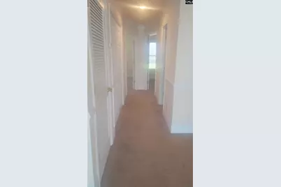 1441 Old Chapin Road 123, Lexington, SC 29072 - Photo 12