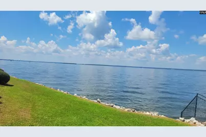 1441 Old Chapin Road 123, Lexington, SC 29072 - Photo 60