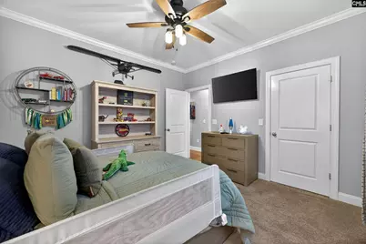 116 Renard Way, Gilbert, SC 29054 - Photo 44