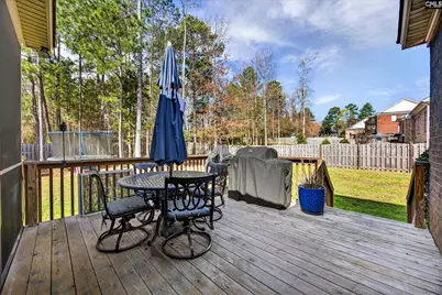 116 Renard Way, Gilbert, SC 29054 - Photo 52
