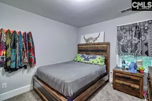 627 Calabria Ct, Chapin, SC 29036 - Photo 32