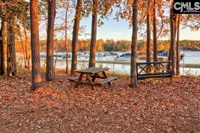 627 Calabria Court, Chapin, SC 29036 - Photo 46