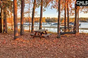 627 Calabria Ct, Chapin, SC 29036 - Photo 46