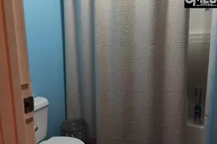 3436 Aaron Temple Church Rd, Bennettsville, SC 29512 - Photo 12