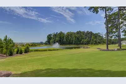 333 Babcock Way, Gilbert, SC 29054 - Photo 34