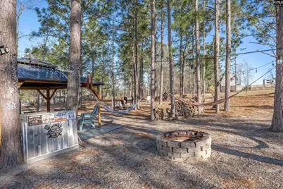 652 Rose Quartz Lane, Lexington, SC 29073 - Photo 46