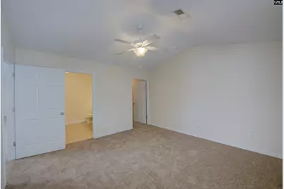 226 Windsor Village Drive, Columbia, SC 29223 - Photo 14