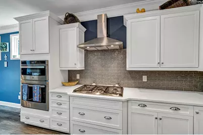 256 Laurelbrook Drive, Chapin, SC 29036 - Photo 14