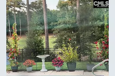 256 Laurelbrook Drive, Chapin, SC 29036 - Photo 34