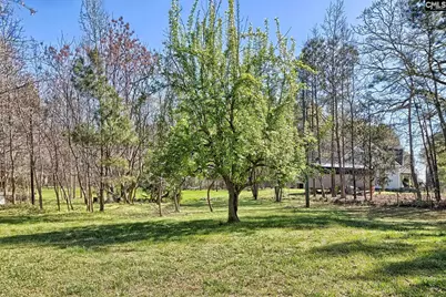 8402 Winnsboro Road, Blythewood, SC 29016 - Photo 42