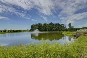 202 Ruby Prince Road, Gilbert, SC 29054 - Photo 34