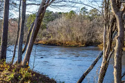 1318 Long Grove Way, Lexington, SC 29072 - Photo 88