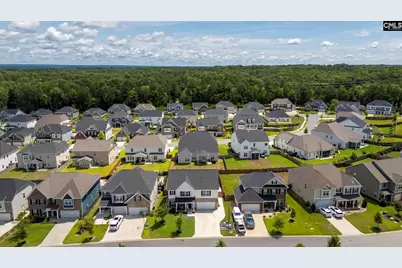 1318 Portrait Hill Drive, Chapin, SC 29036 - Photo 44