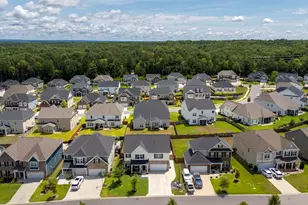 1318 Portrait Hill Dr, Chapin, SC 29036 - Photo 44