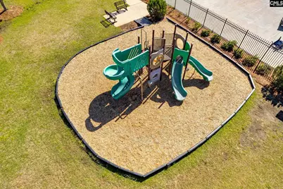 1318 Portrait Hill Drive, Chapin, SC 29036 - Photo 54