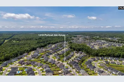 1318 Portrait Hill Drive, Chapin, SC 29036 - Photo 48