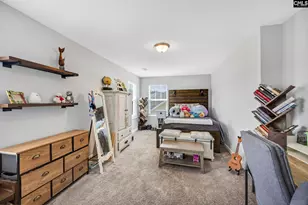 1318 Portrait Hill Dr, Chapin, SC 29036 - Photo 36