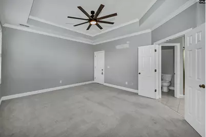 229 Bent Oak Drive, Chapin, SC 29036 - Photo 18