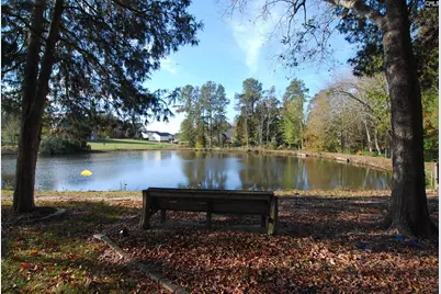 229 Bent Oak Drive, Chapin, SC 29036 - Photo 42