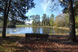 229 Bent Oak Dr, Chapin, SC 29036 - Photo 42