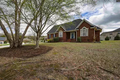 229 Bent Oak Drive, Chapin, SC 29036 - Photo 2