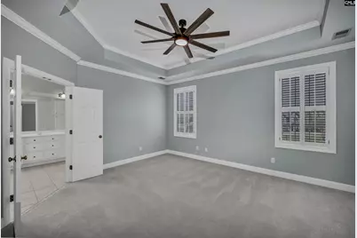 229 Bent Oak Drive, Chapin, SC 29036 - Photo 16