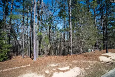 210 Stormycreek Lane, Blythewood, SC 29016 - Photo 4