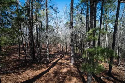 210 Stormycreek Lane, Blythewood, SC 29016 - Photo 6