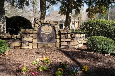 210 Stormycreek Lane, Blythewood, SC 29016 - Photo 8