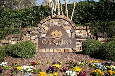 210 Stormycreek Lane, Blythewood, SC 29016 - Photo 2