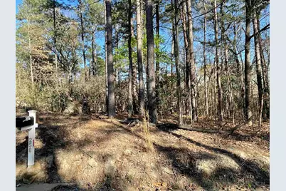 0 Green Hills Drive, Gilbert, SC 29054 - Photo 4