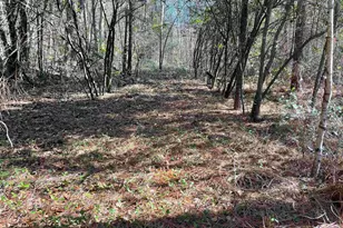 0 Green Hills Dr, Gilbert, SC 29054 - Photo 10