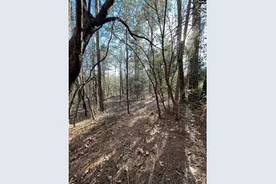 0 Green Hills Drive, Gilbert, SC 29054 - Photo 6