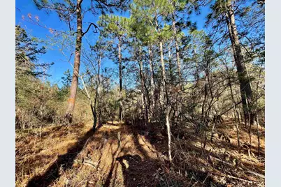 0 Green Hills Drive, Gilbert, SC 29054 - Photo 14