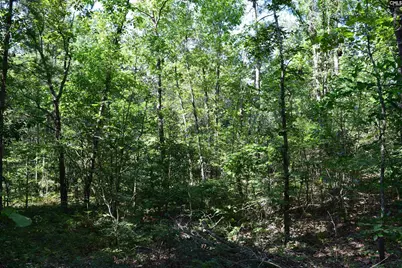 0 Green Hills Drive, Gilbert, SC 29054 - Photo 18