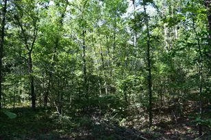 0 Green Hills Dr, Gilbert, SC 29054 - Photo 18