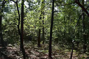 0 Green Hills Dr, Gilbert, SC 29054 - Photo 14
