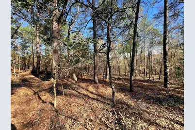 0 Green Hills Drive, Gilbert, SC 29054 - Photo 2