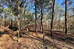 0 Green Hills Dr, Gilbert, SC 29054 - Photo 2