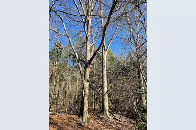 0 Green Hills Drive, Gilbert, SC 29054 - Photo 8