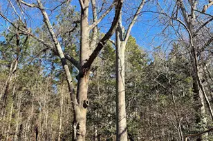 0 Green Hills Dr, Gilbert, SC 29054 - Photo 8