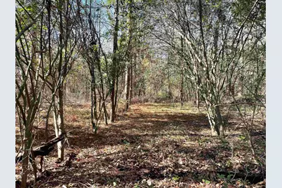 0 Green Hills Drive, Gilbert, SC 29054 - Photo 1