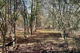 0 Green Hills Dr, Gilbert, SC 29054 - Photo 1