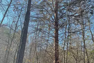 0 Green Hills Dr, Gilbert, SC 29054 - Photo 12