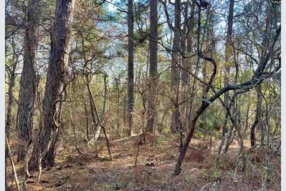 0 Green Hills Drive, Gilbert, SC 29054 - Photo 16