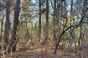 0 Green Hills Dr, Gilbert, SC 29054 - Photo 16