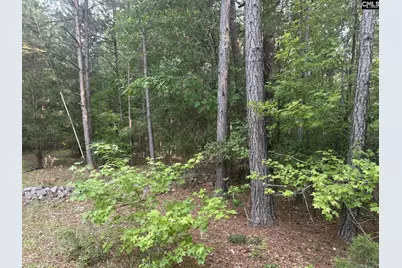 320 Dewdrop Drive, Ridgeway, SC 29130 - Photo 2